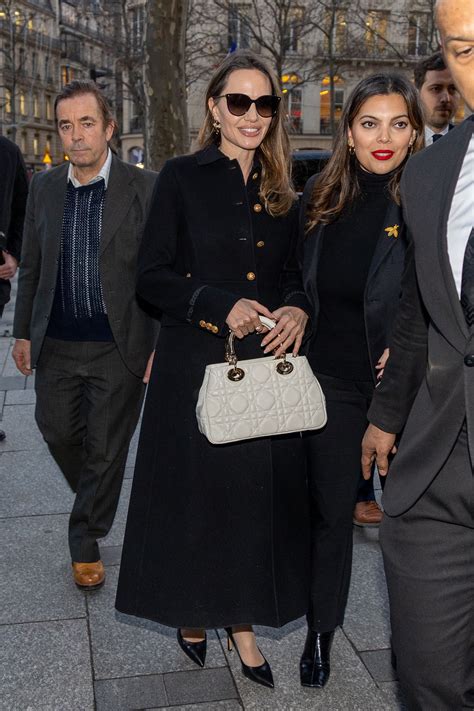 lady dior celebrities|angelina jolie princess diana bag.